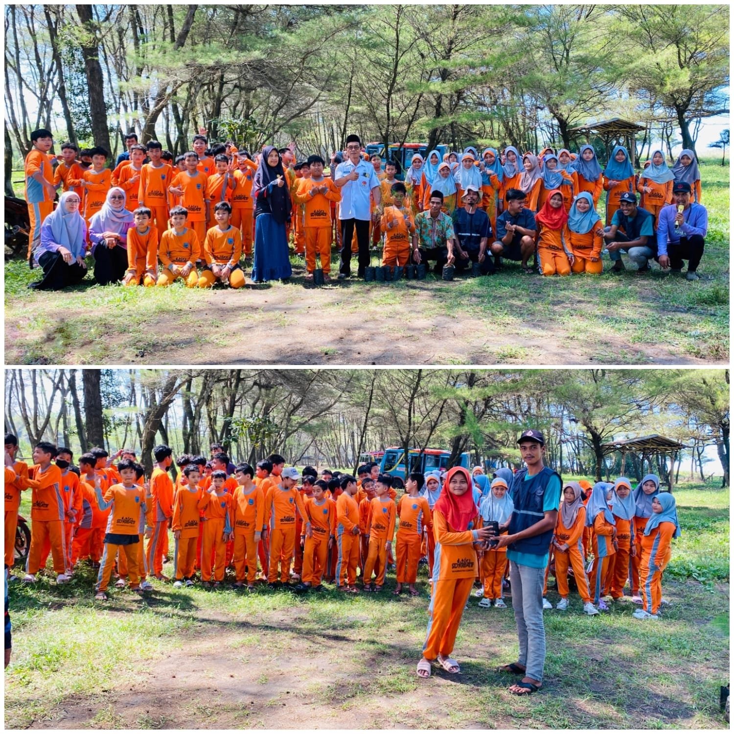 Outing Class SD Kreatif Muhammadiyah Gombong: Edukasi Lingkungan Lewat Penangkaran Penyu dan Penanaman Pohon